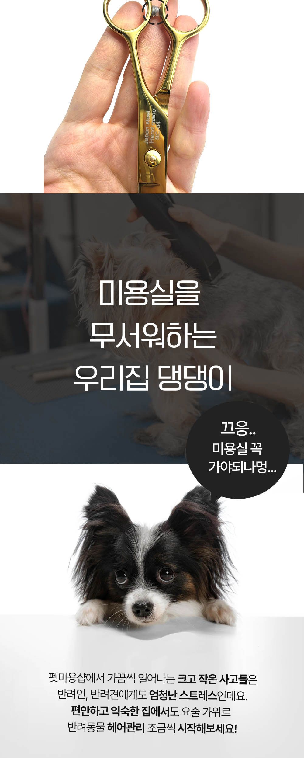 모모 펫전용 골드 커브가위7인치/미용가위/강아지미용가위/반려견미용가위/애견미용가위/털가위/강아지이발