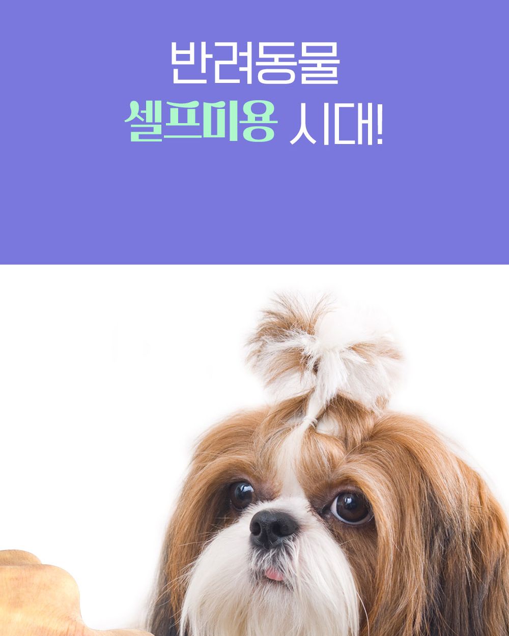 모모 요술가위 세트/강아지미용가위/애견미용가위/강아지가위/강아지미용도구/미용가위세트/미용가위집/애