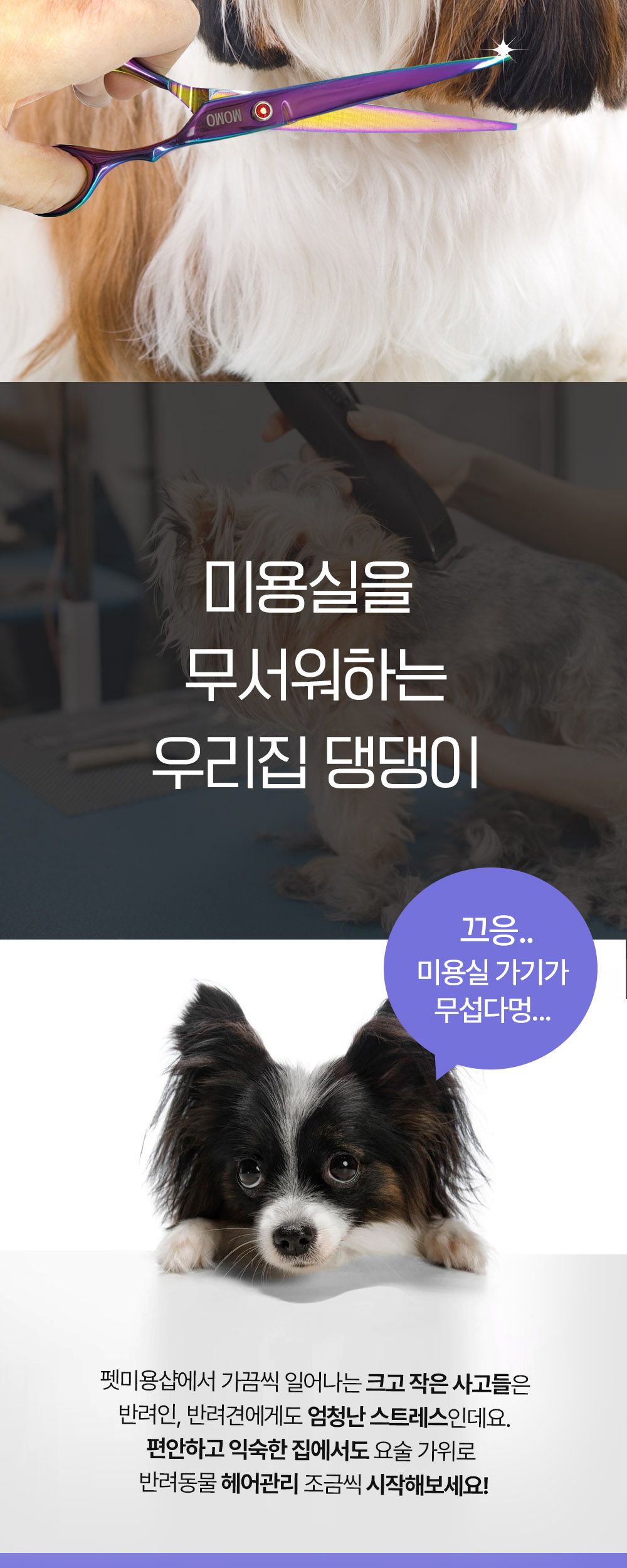 모모 요술가위 세트/강아지미용가위/애견미용가위/강아지가위/강아지미용도구/미용가위세트/미용가위집/애