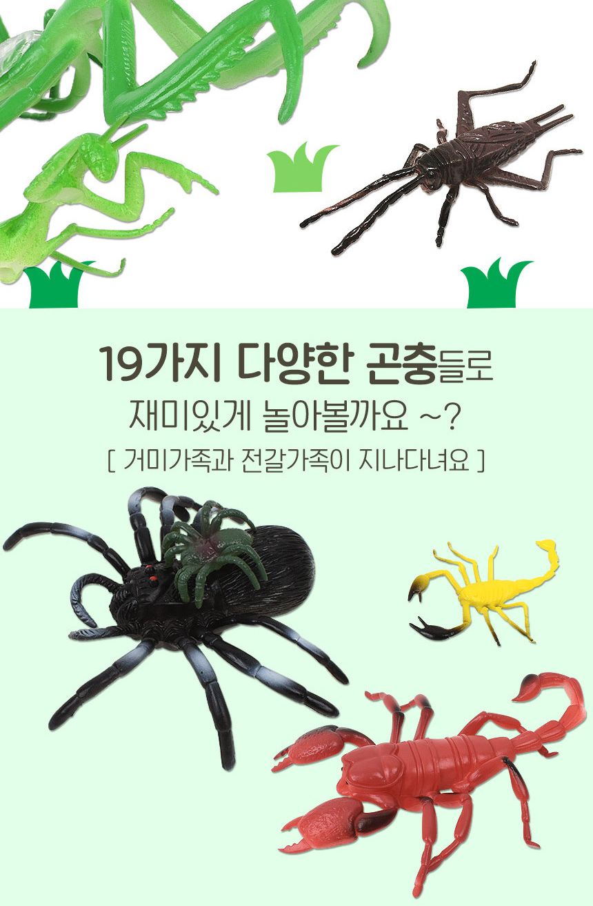 오즈토이 생생자연 곤충나라 피규어 mk-017 나비 풍뎅이 파충류 벌레 모형 학습 교구 교재 곤충모형교구 곤충인형 곤충모형피규어 피규어 곤충모형 곤충피규어 곤충모형장난감 곤충모형인형 곤충장난감 과학학습모형