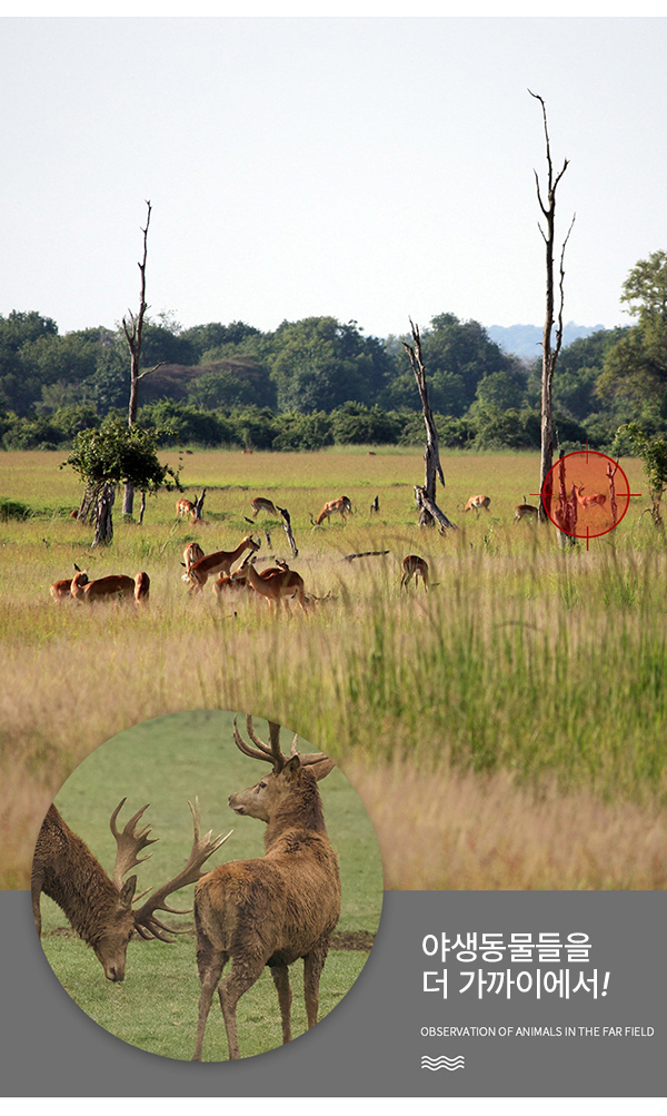 휴대용 가성비 단망경 망원경 16X52 캠핑. 등산. 낚시. 경마 . 콘서트. 달/망원경/휴대용망원경/캠핑망원경