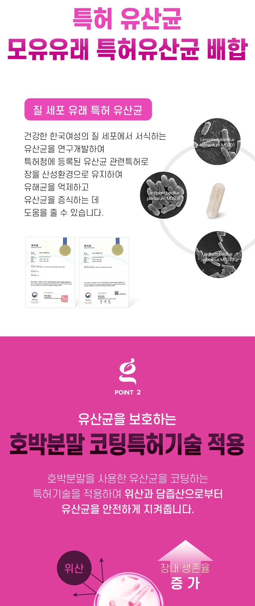 네이처그랜드 - 이너포에버 프로바이오틱스 플러스 500mg x 30캡슐 식물성캡슐 성인유산균 장유산균 활기넘치는 몸에좋은영양제 건강기능제품 선물하기좋은영양제 50대 40대 30대 프로바이오틱유산균 프로바이오틱스유산균 장건강 장건강유산균