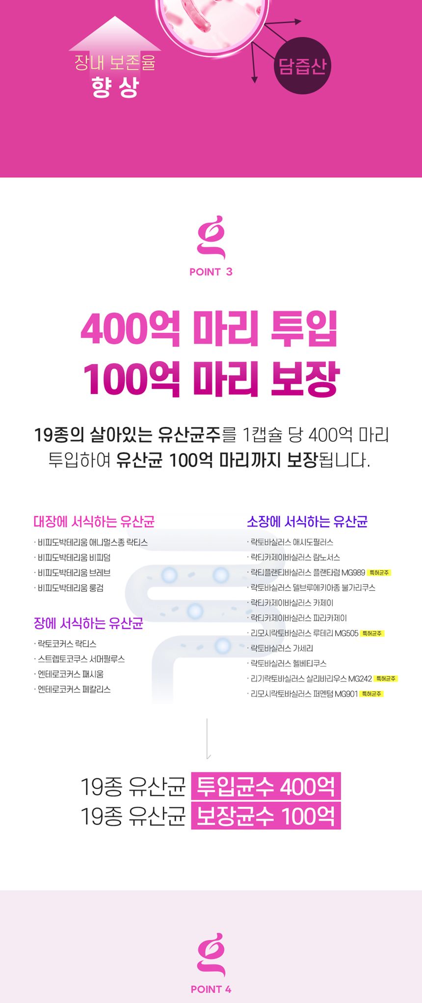 네이처그랜드 - 이너포에버 프로바이오틱스 플러스 500mg x 30캡슐 식물성캡슐 성인유산균 장유산균 활기넘치는 몸에좋은영양제 건강기능제품 선물하기좋은영양제 50대 40대 30대 프로바이오틱유산균 프로바이오틱스유산균 장건강 장건강유산균