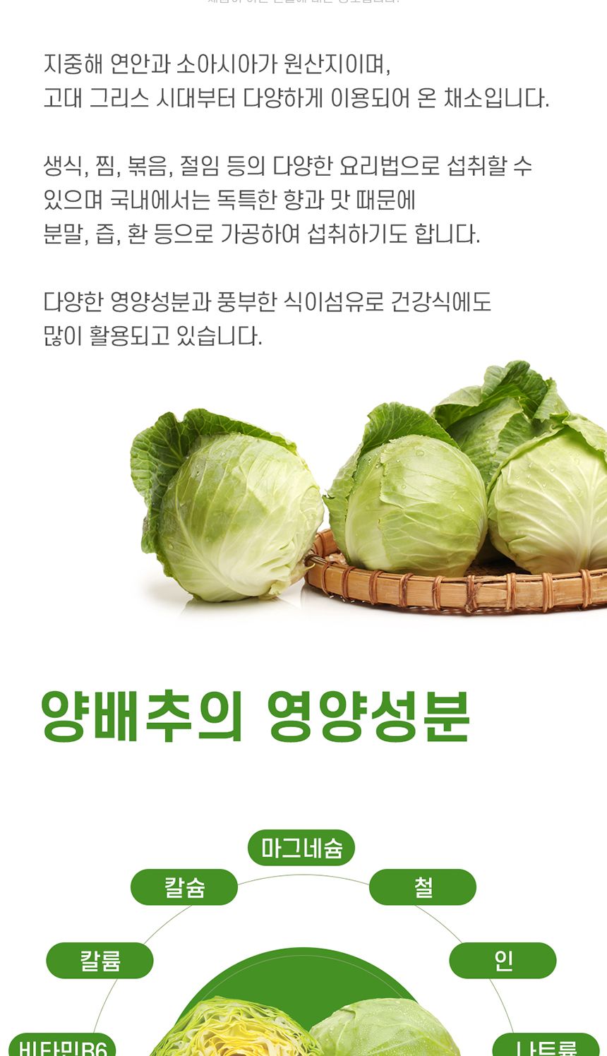 네이처그랜드 - 프리미엄 양배추정 500mg x 90정 양배추 양배추영양제 영양제 양배추정 양배추농축분말정 양배추농축분말영양제 정제양배추 영양보충제 영양보충 영양분보충제
