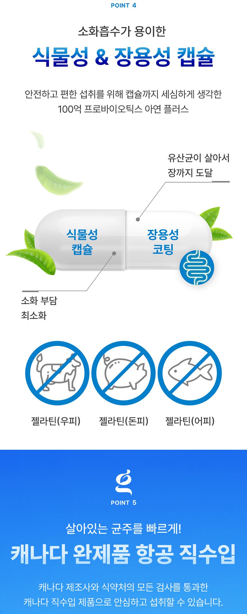 네이처그랜드 100억 프로바이오틱스 아연 500mg 60 유산균제 유산균 영양제 유산균영양제 프로바이오틱스 100억프로바이오틱스 프로바이오틱스아연 아연 영양보조식품 영양보충제 유산균영양보충제