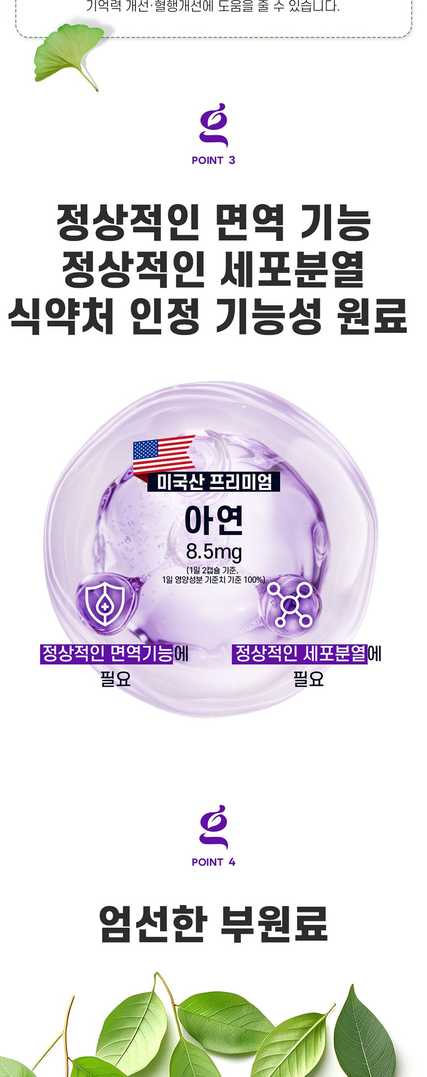 네이처그랜드 브레인 엔 포스파티딜세린 PS 징코 470mg x 60캡슐 영양제 영양보충제 징코영양제 브레인영양제 인지력영양제 은행잎영양제