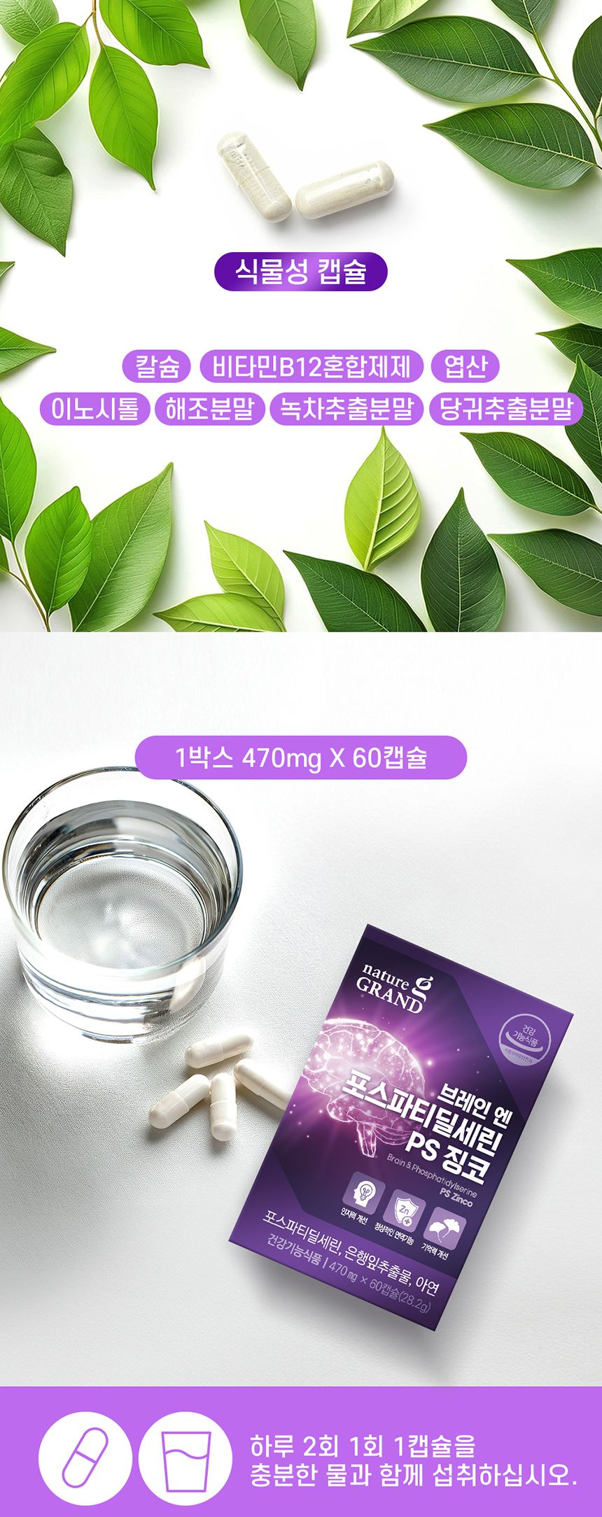 네이처그랜드 브레인 엔 포스파티딜세린 PS 징코 470mg x 60캡슐 영양제 영양보충제 징코영양제 브레인영양제 인지력영양제 은행잎영양제