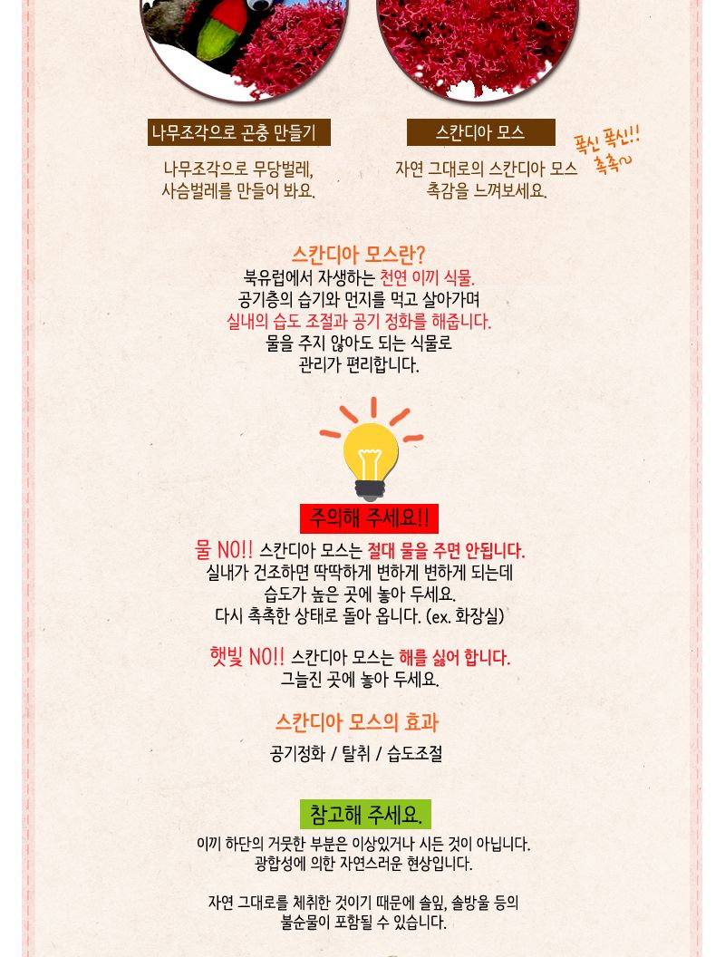 스칸디아모스 곤충 통나무걸이 만들기/놀이키트/만들기재료/만들기키트/미술만들기/엄마표미술놀이/유아미