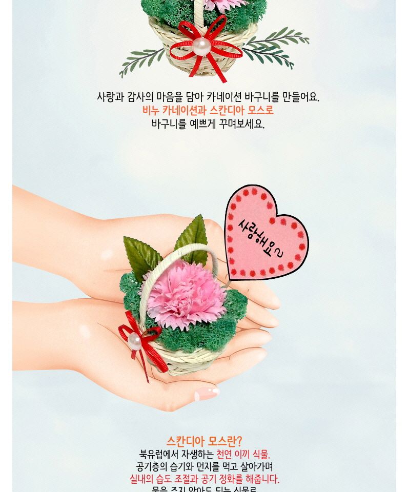 스칸디아모스 비누꽃 카네이션 미니바구니 만들기 놀이키트 만들기재료 만들기키트 미술만들기 엄마표미술놀이 유아미술 유아미술놀이 유아미술재료 유치원만들기 아이들이좋아하는 재미있는 스칸디아모스만들기키트