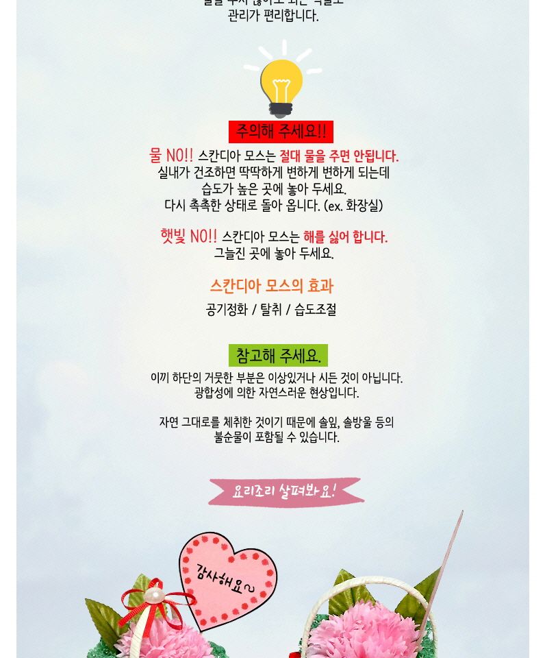 스칸디아모스 비누꽃 카네이션 미니바구니 만들기 놀이키트 만들기재료 만들기키트 미술만들기 엄마표미술놀이 유아미술 유아미술놀이 유아미술재료 유치원만들기 아이들이좋아하는 재미있는 스칸디아모스만들기키트