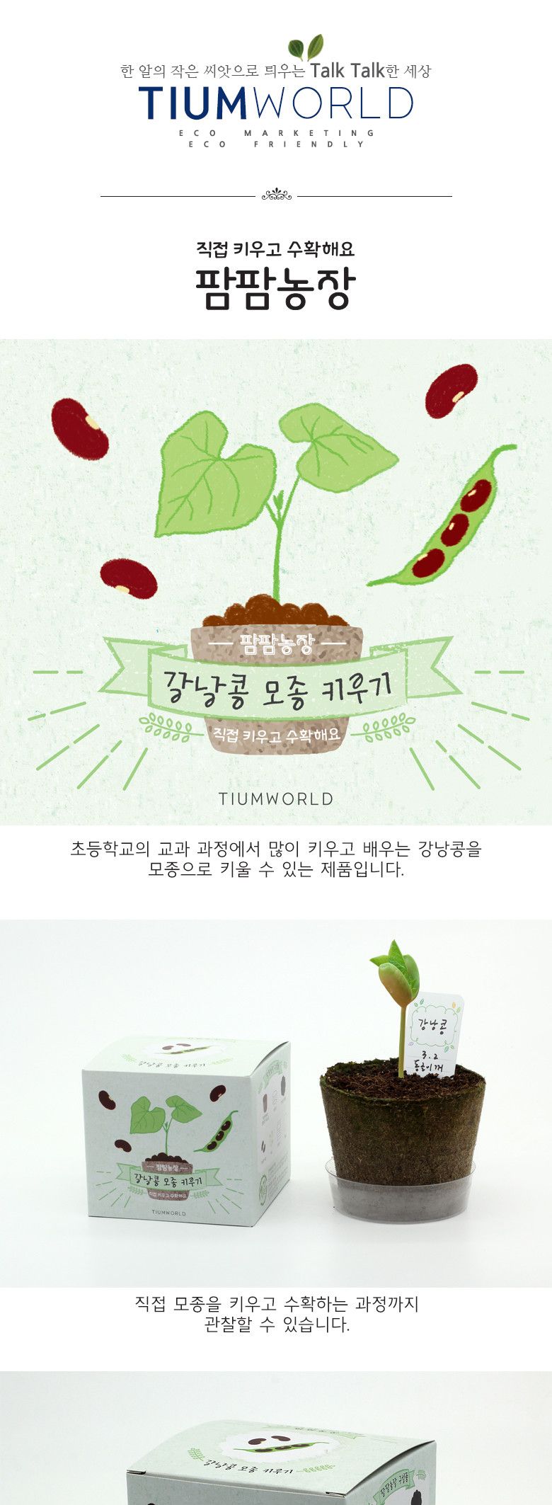 M팜팜농장_강낭콩 모종키우기/식물키우기/식물기르기/한컵새싹/컵식물/식물관찰/관찰학습/과학실험/꽃기르
