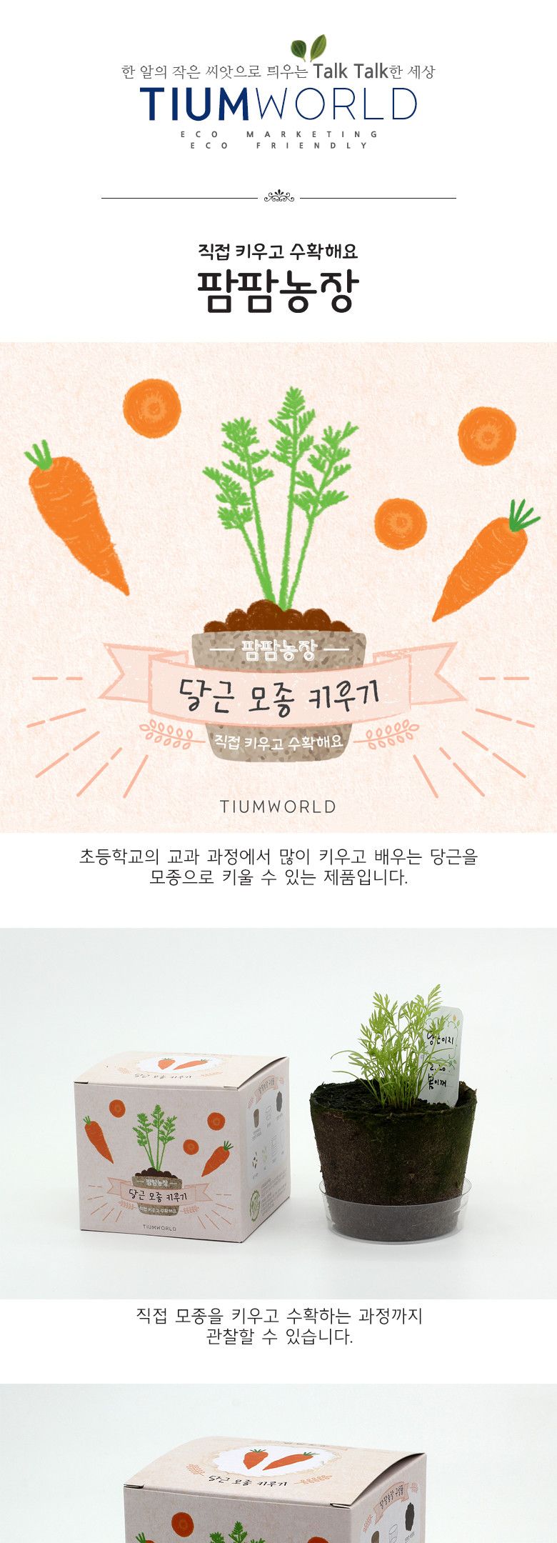M팜팜농장_당근 모종키우기/식물키우기/식물기르기/한컵새싹/컵식물/식물관찰/관찰학습/과학실험/꽃기르기/