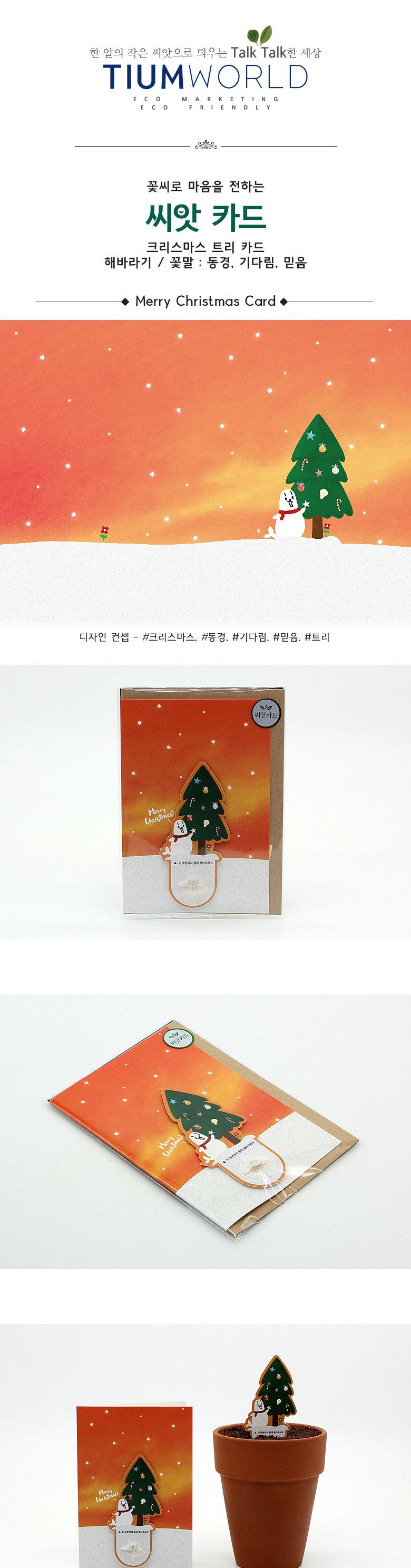 M크리스마스 씨앗카드_트리/씨앗재배/모종키우기/씨앗심기/씨앗키우기/씨앗/카드씨앗/씨앗카드/카드형씨앗/