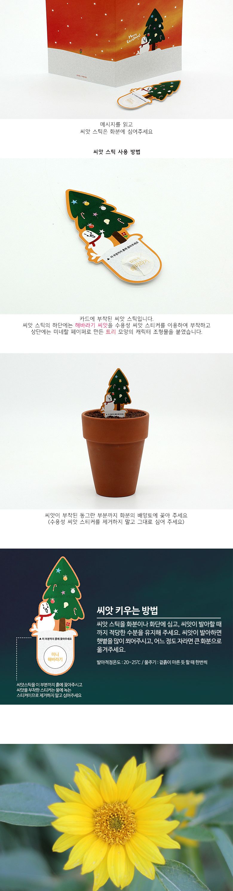 M크리스마스 씨앗카드_트리/씨앗재배/모종키우기/씨앗심기/씨앗키우기/씨앗/카드씨앗/씨앗카드/카드형씨앗/