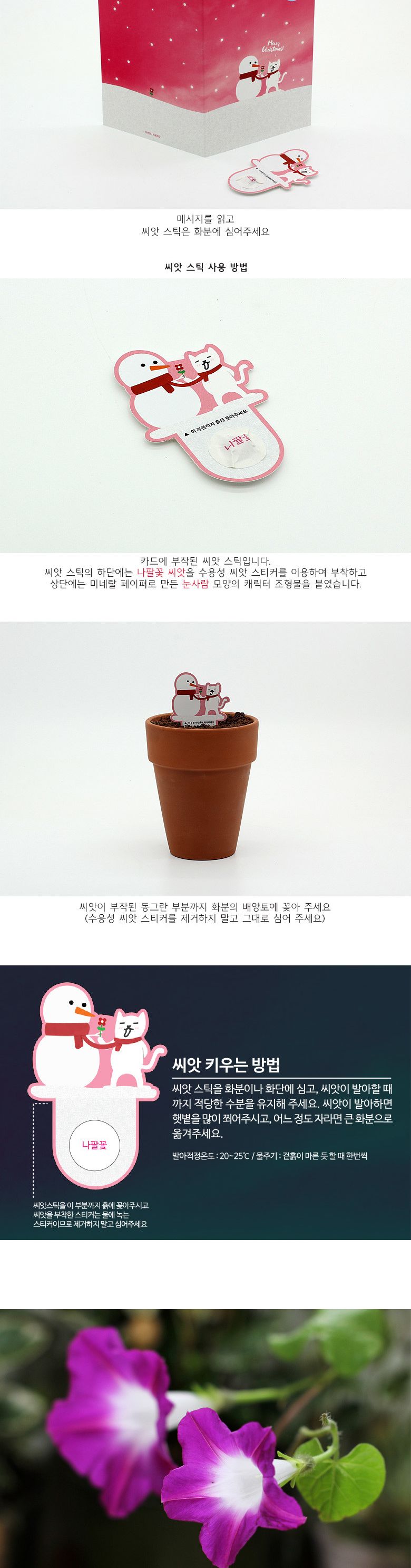 M크리스마스 씨앗카드_눈사람/씨앗재배/모종키우기/씨앗심기/씨앗키우기/씨앗/카드씨앗/씨앗카드/카드형씨