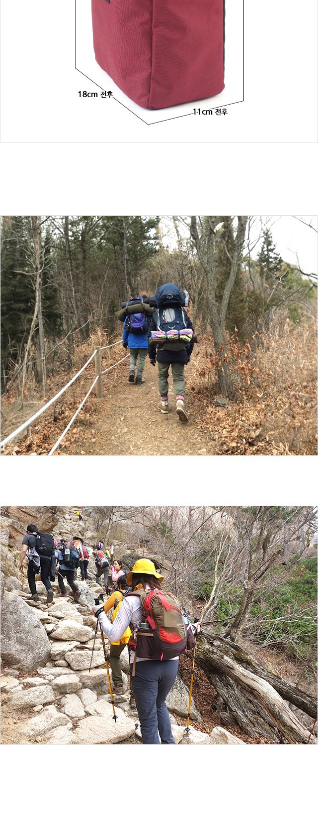 쿨러백250 쿨링백 캠핑백 소프트쿨러 여행용쿨러백 아이스백 보냉가방 보냉백 캠핑쿨러백 쿨러백 아이스박스 등산쿨러백