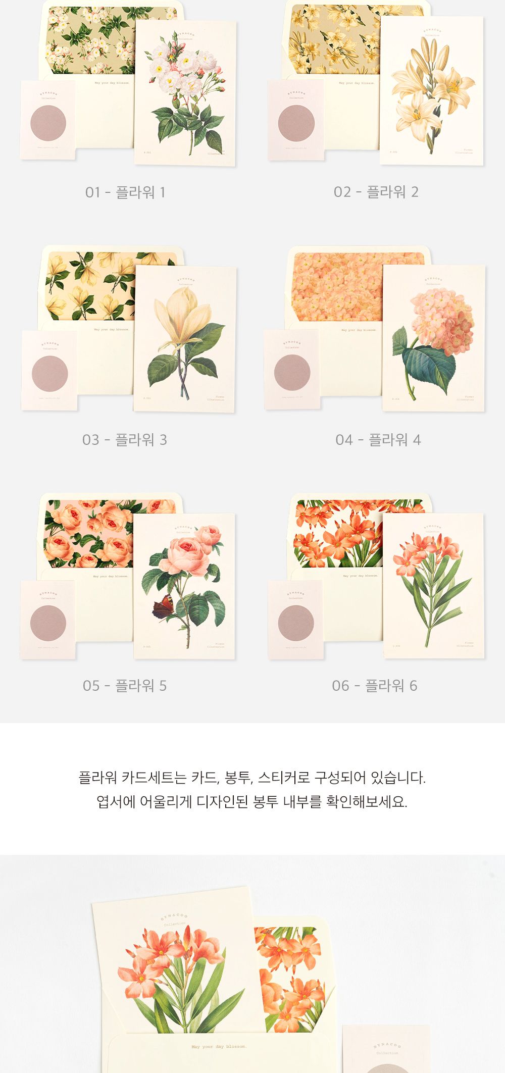 카드 세트 - 플라워 A 플라워카드 감사카드 축하카드 메시지카드 메시지 편지 종이카드 편지지 편지쓰기 기념카드 기념일카드 디자인카드