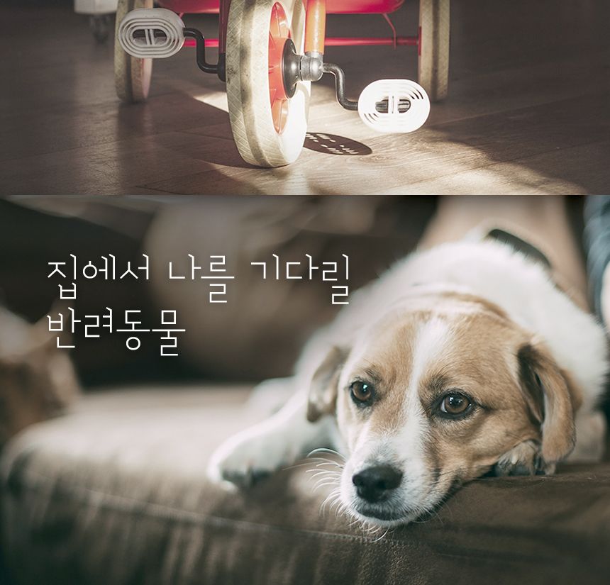 티피링크 Tapo TC71 300만 화소 2K 원격 회전 CCTV 원격회전CCTV 300만화소CCTV 홈CCTV 실내감시카메라 감시카메라 가정용CCTV 방범용CCTV CCTV카메라 카메라 씨씨티비 CCTV장비 감시용카메라 방범용카메라