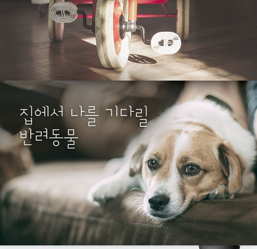 티피링크 C211 300만 화소 회전형 스마트 홈 cctv 회전형CCTV 홈캠 펫CCTV 홈CCTV 실내감시카메라 감시카메라 가정용CCTV 방범용CCTV CCTV카메라 카메라 씨씨티비 CCTV장비 감시용카메라 방범용카메라