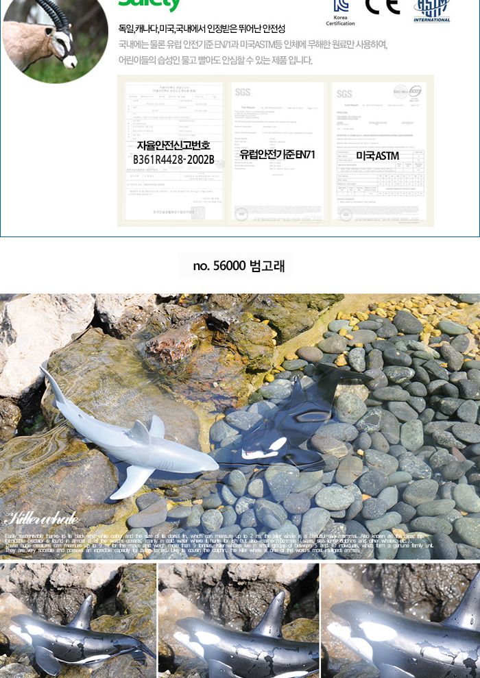 파포 (모형완구) 범고래 (56000)/동물모형완구/모형완구/입체모형완구/동물모형/동물입체모형완구/동물피규