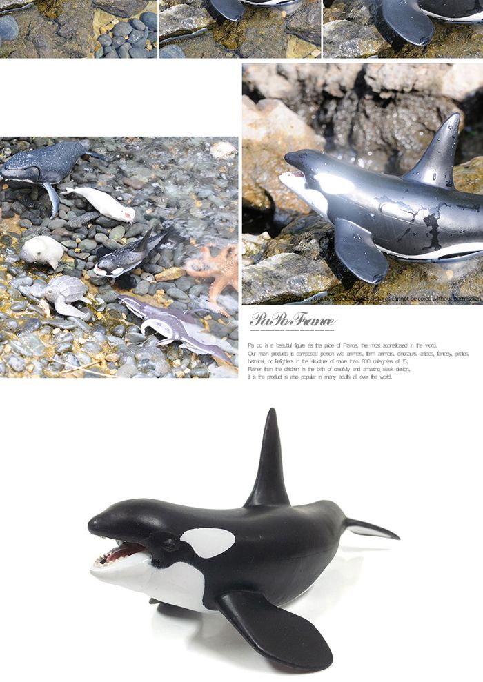 파포 (모형완구) 범고래 (56000)/동물모형완구/모형완구/입체모형완구/동물모형/동물입체모형완구/동물피규