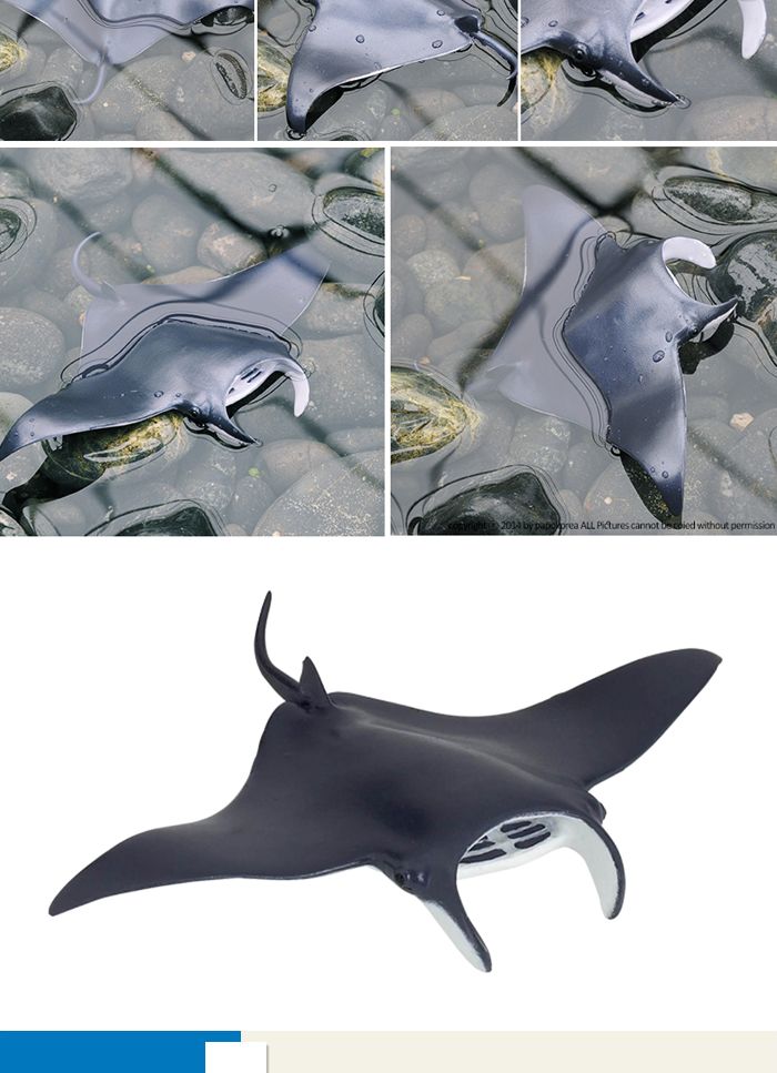 파포 해양동물 모형완구 만타가오리/동물모형완구/모형완구/입체모형완구/동물모형/동물입체모형완구/동물