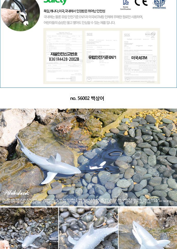 파포 해양동물 모형완구 백상어/동물모형완구/모형완구/입체모형완구/동물모형/동물입체모형완구/동물피규