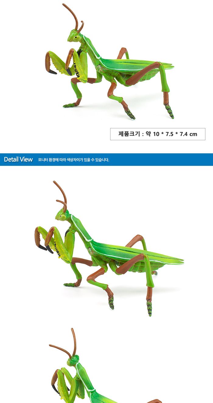 파포 (모형완구) 사마귀 (50244)/사마귀모형/사마귀피규어/곤충모형/곤충피규어/모형완구/모형장난감/학습