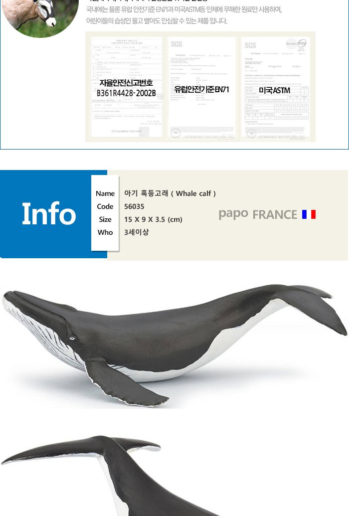 파포 해양동물 모형완구 아기 혹등고래/고래인형/동물장난감/동물모형/동물피규어/고래피규어/자연학습인형