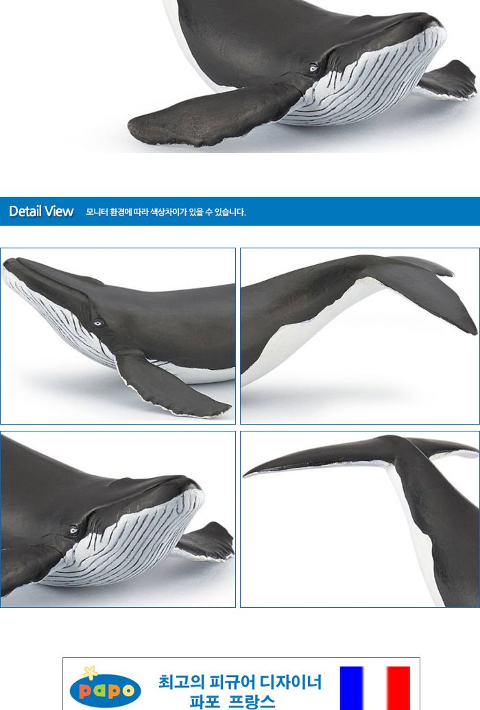 파포 해양동물 모형완구 아기 혹등고래/고래인형/동물장난감/동물모형/동물피규어/고래피규어/자연학습인형
