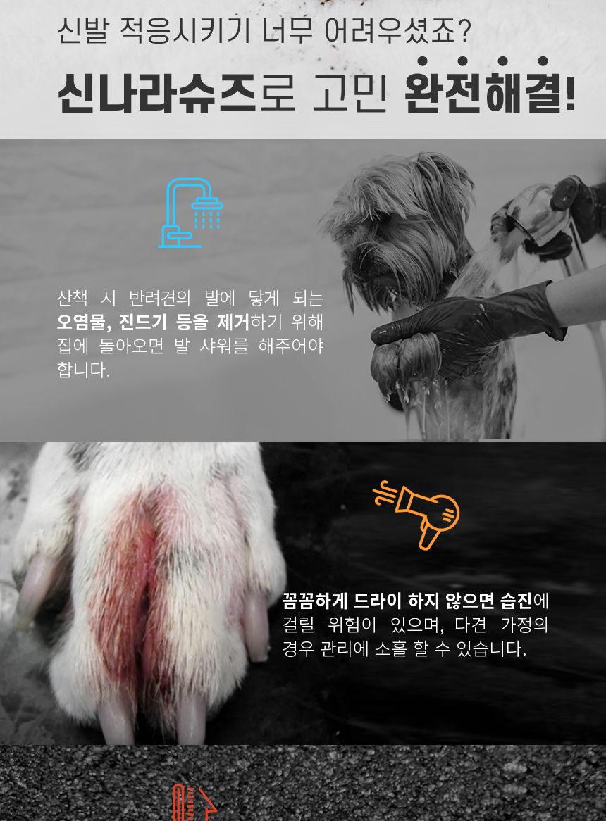 신나라 슈즈 80매 - 대형