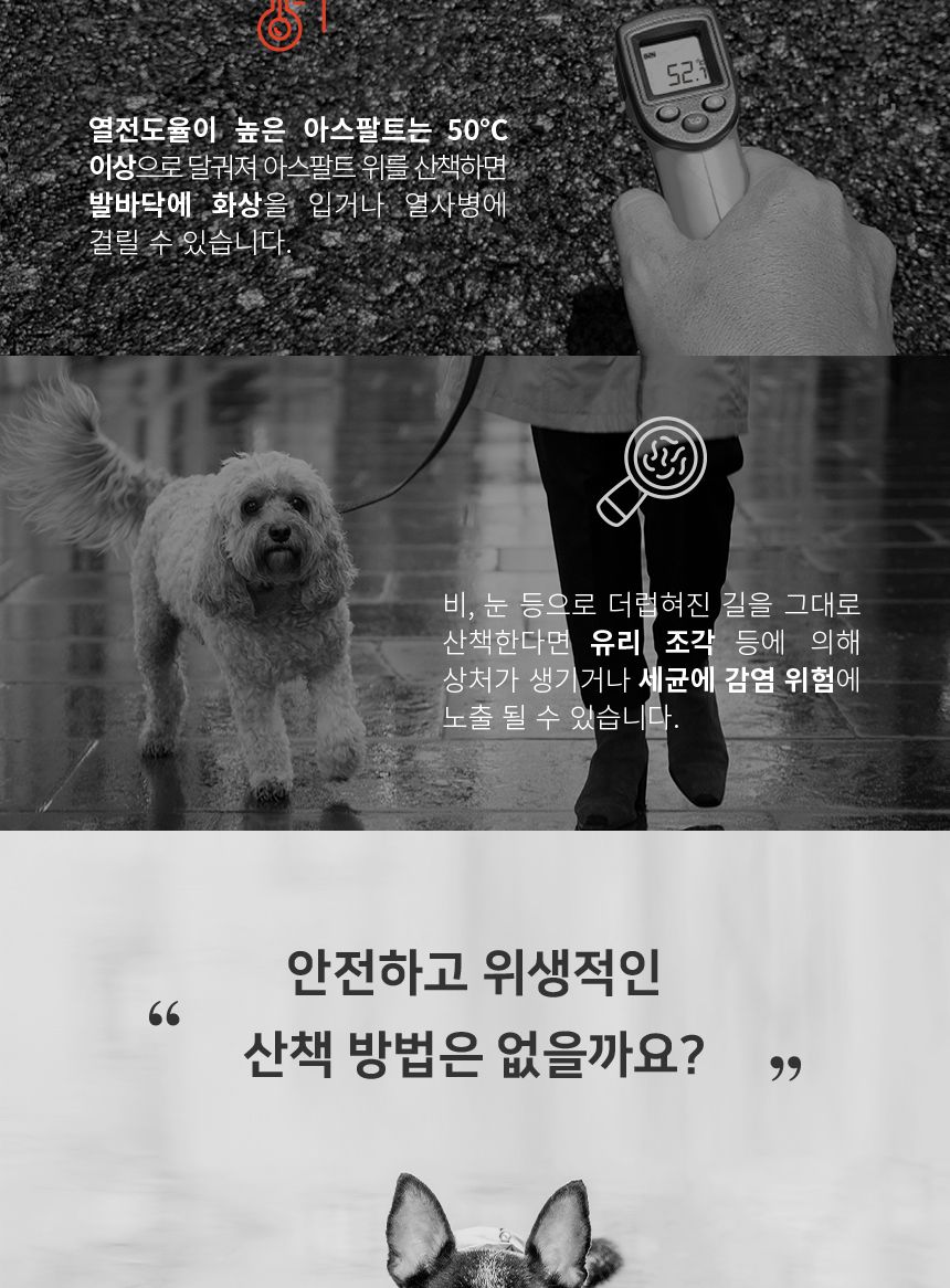 신나라 슈즈 80매 - 대형