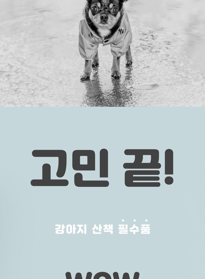 신나라 슈즈 80매 - 대형