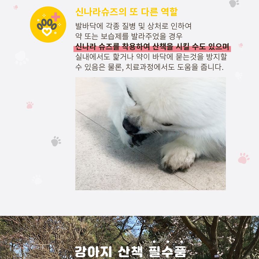 신나라 슈즈 80매 - 대형