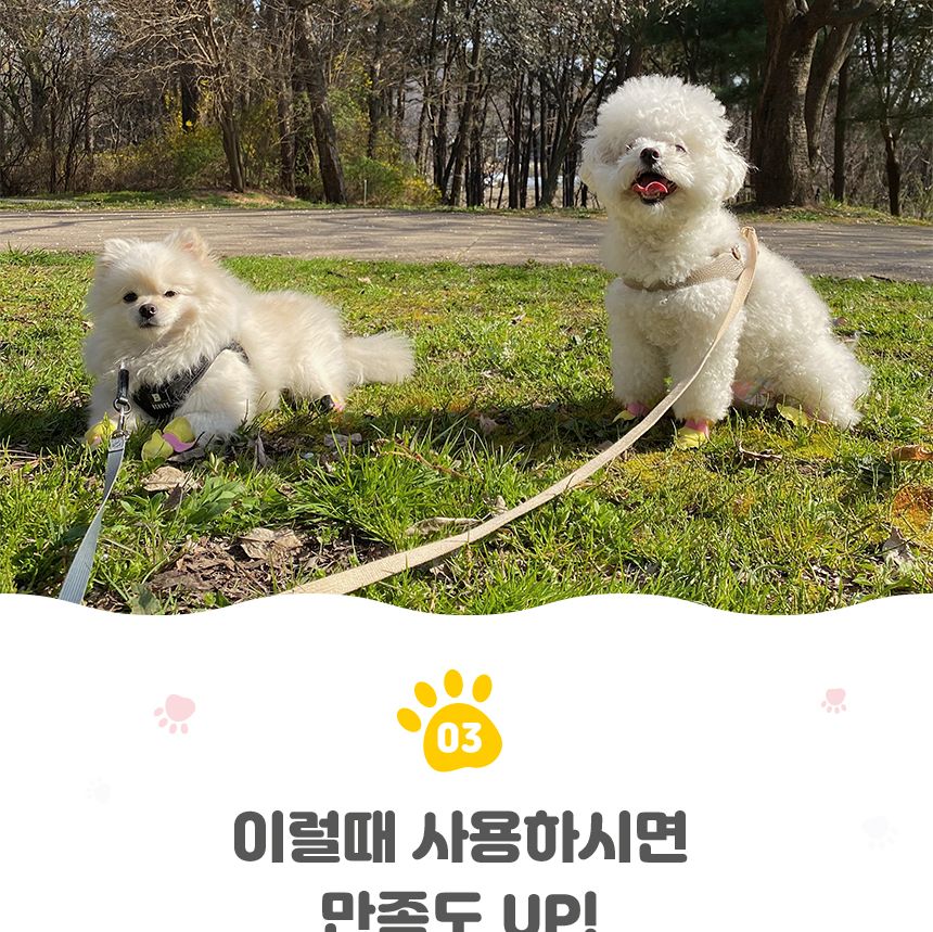신나라 슈즈 80매 - 대형