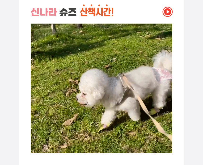 신나라 슈즈 80매 - 대형