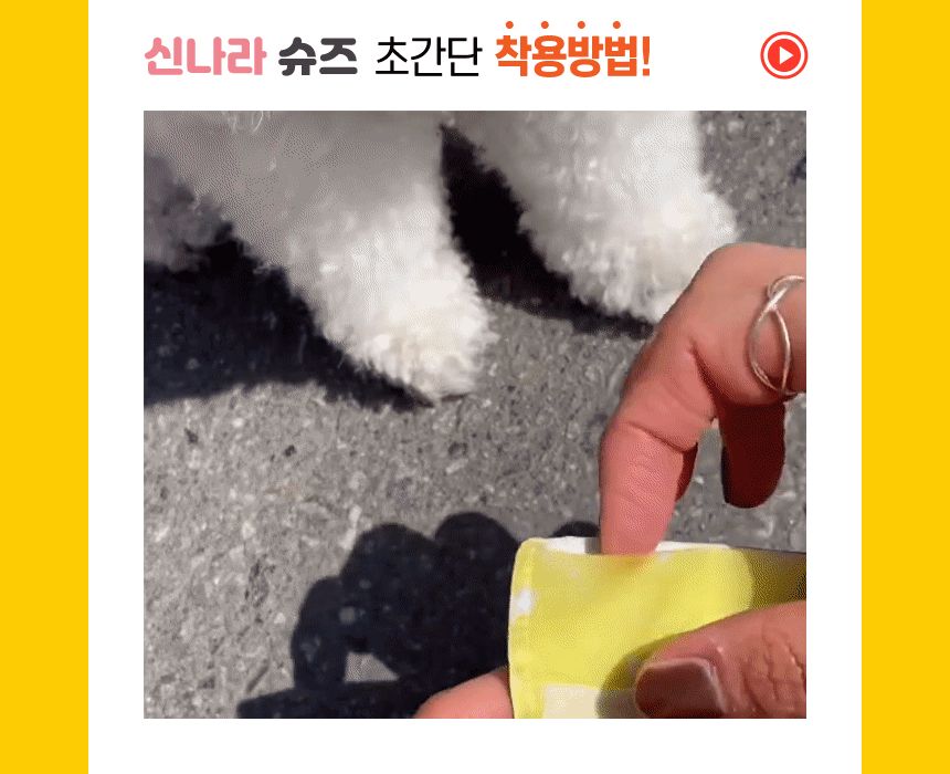 신나라 슈즈 80매 - 대형