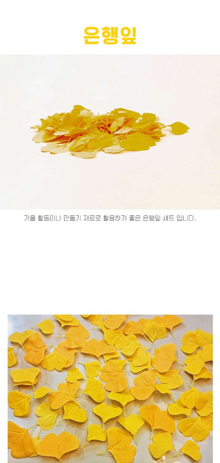 은행잎_100장/은행잎/모형은행잎/은행잎모형/만들기용은행잎/공작용은행잎/공예용은행잎/만들기재료/공작재