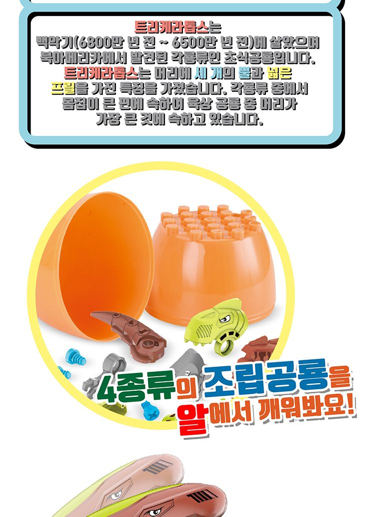조립공룡/공룡/조립공룡/DIY공룡/모형공룡/장난감공룡/공룡완구/공룡장난감/모형완구/모형장난감/공룡블록
