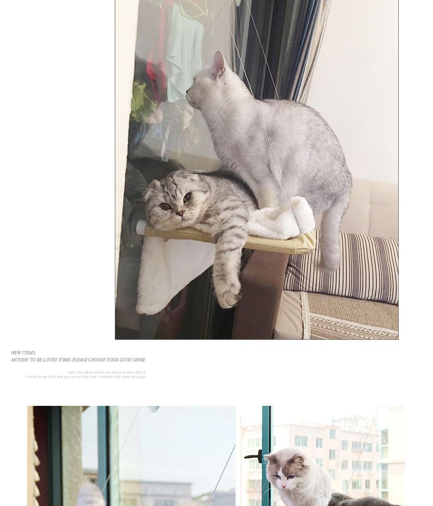 디자인펍 윈도우 캣 베드/고양이베드/애묘베드/애완묘베드/반려묘베드/캣베드/창문베드/걸이베드/고양이쿠