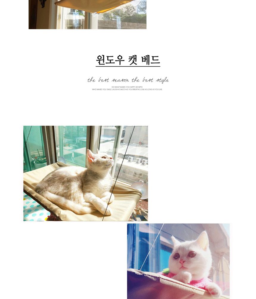 디자인펍 윈도우 캣 베드/고양이베드/애묘베드/애완묘베드/반려묘베드/캣베드/창문베드/걸이베드/고양이쿠