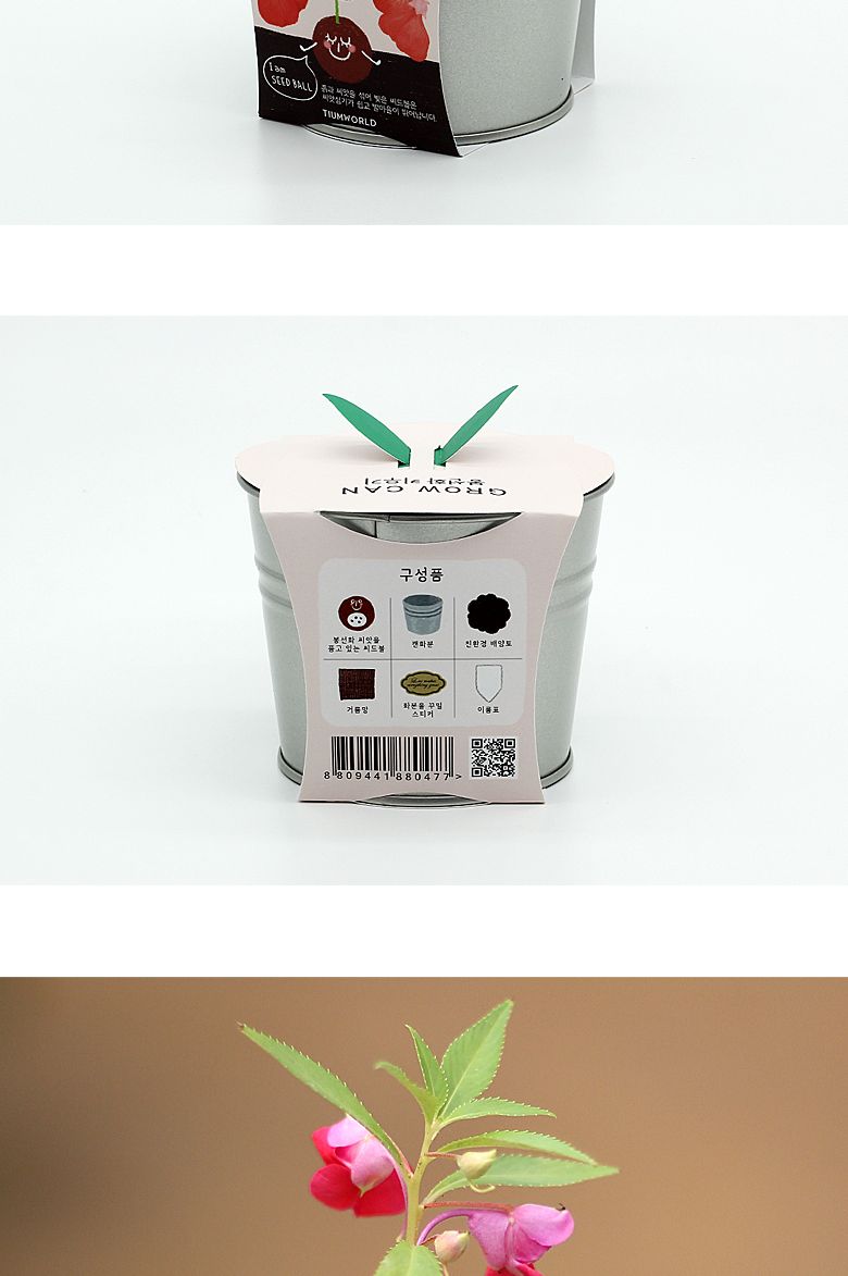 그로우캔 봉선화/엄마표미술/홈스쿨링/만들기/집콕만들기/아동미술만들기/DIY키트/미술놀이/놀이키트/미술