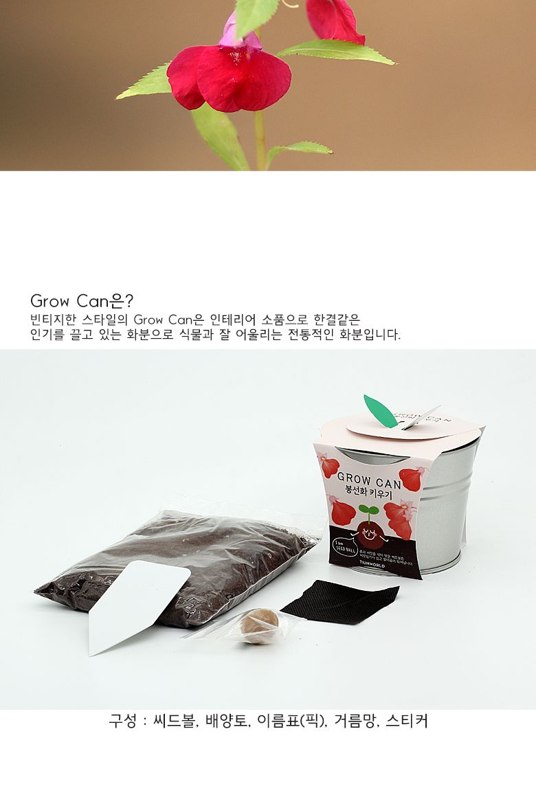 그로우캔 봉선화/엄마표미술/홈스쿨링/만들기/집콕만들기/아동미술만들기/DIY키트/미술놀이/놀이키트/미술