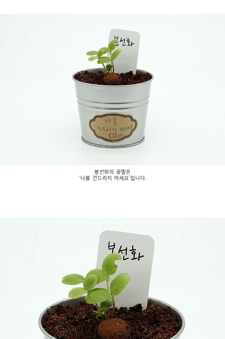그로우캔 봉선화/엄마표미술/홈스쿨링/만들기/집콕만들기/아동미술만들기/DIY키트/미술놀이/놀이키트/미술