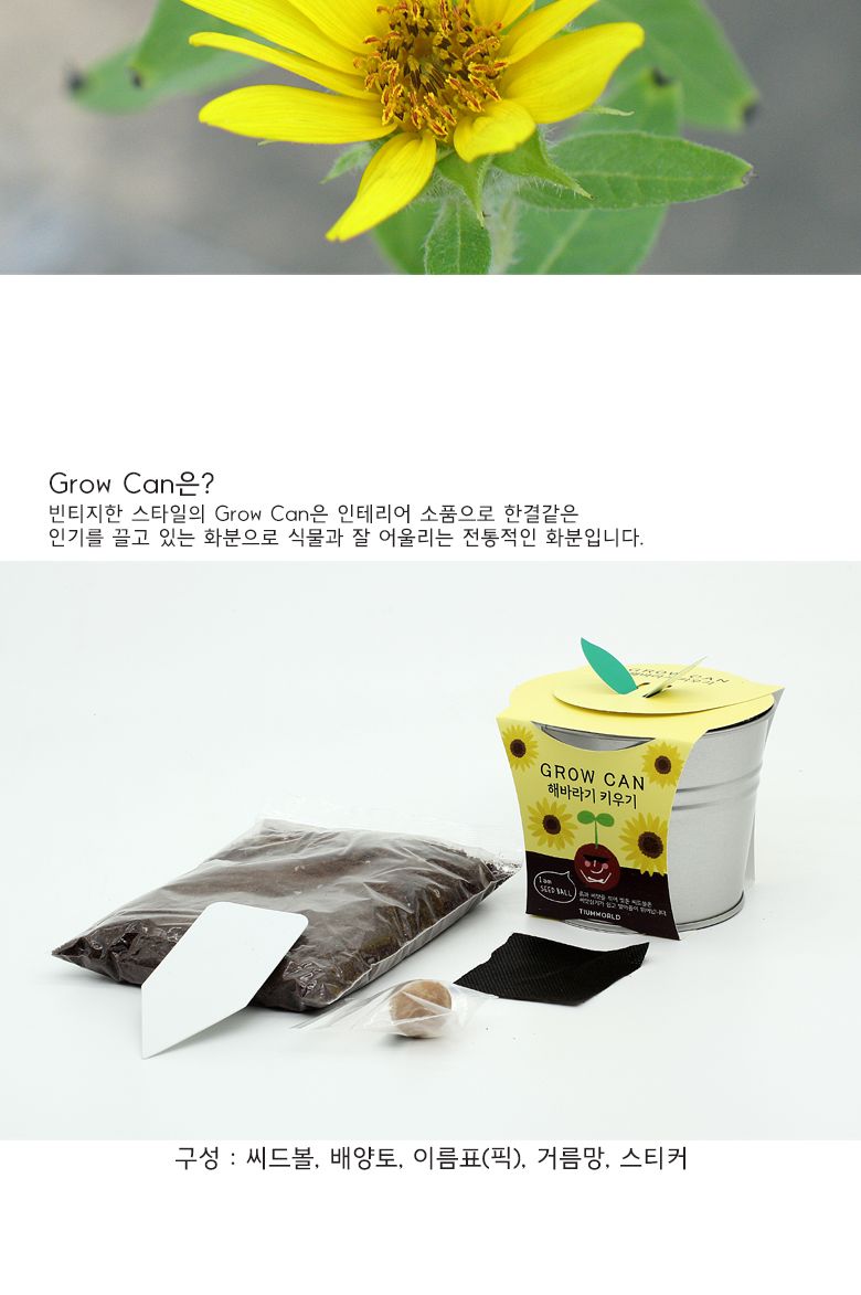 그로우캔 미니해바라기/엄마표미술/홈스쿨링/만들기/집콕만들기/아동미술만들기/DIY키트/미술놀이/놀이키트