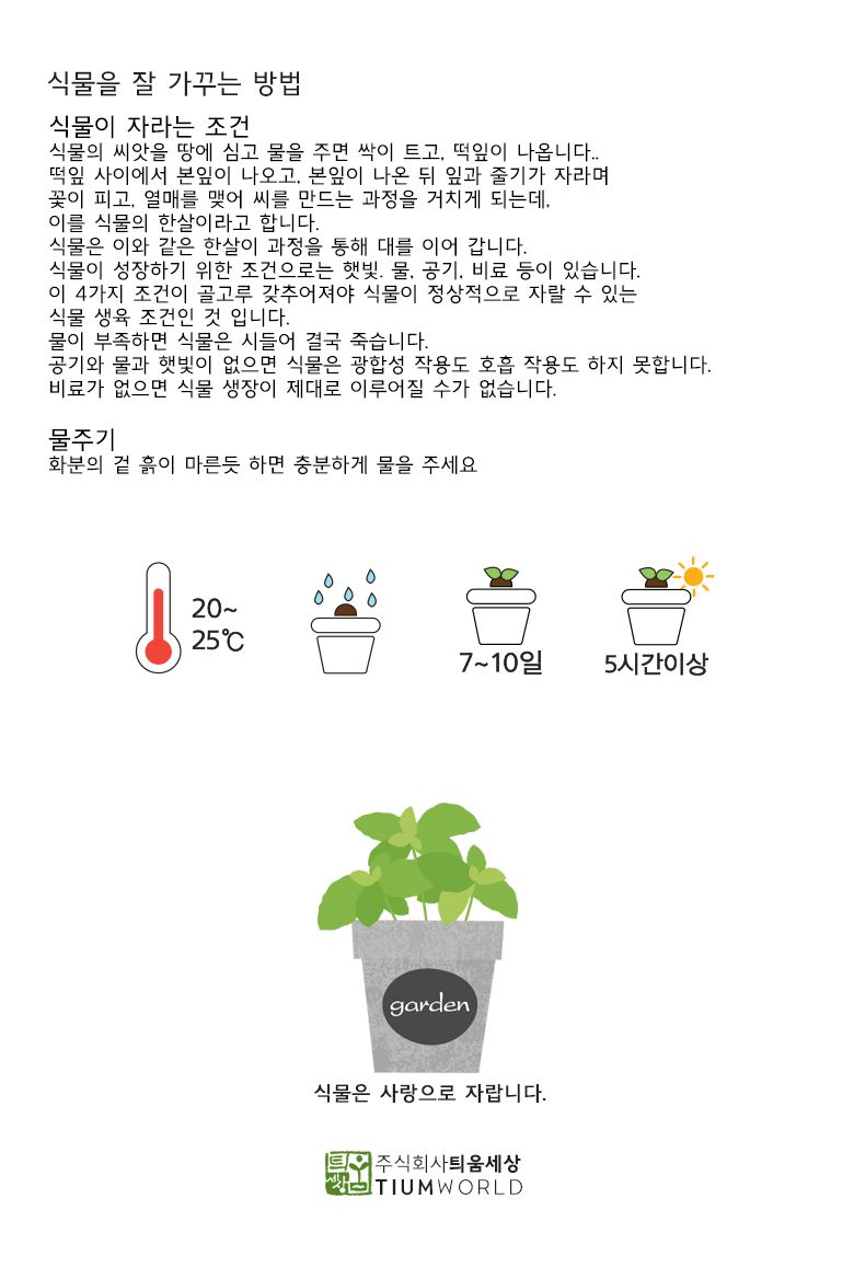 그로우캔 미니해바라기/엄마표미술/홈스쿨링/만들기/집콕만들기/아동미술만들기/DIY키트/미술놀이/놀이키트