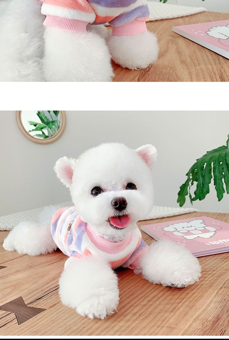 (BND-W07) 스트라이프 후리스 맨투맨 티셔츠 강아지옷/강아지옷/강아지겨울옷/강아지가을옷/강아지봄옷/강