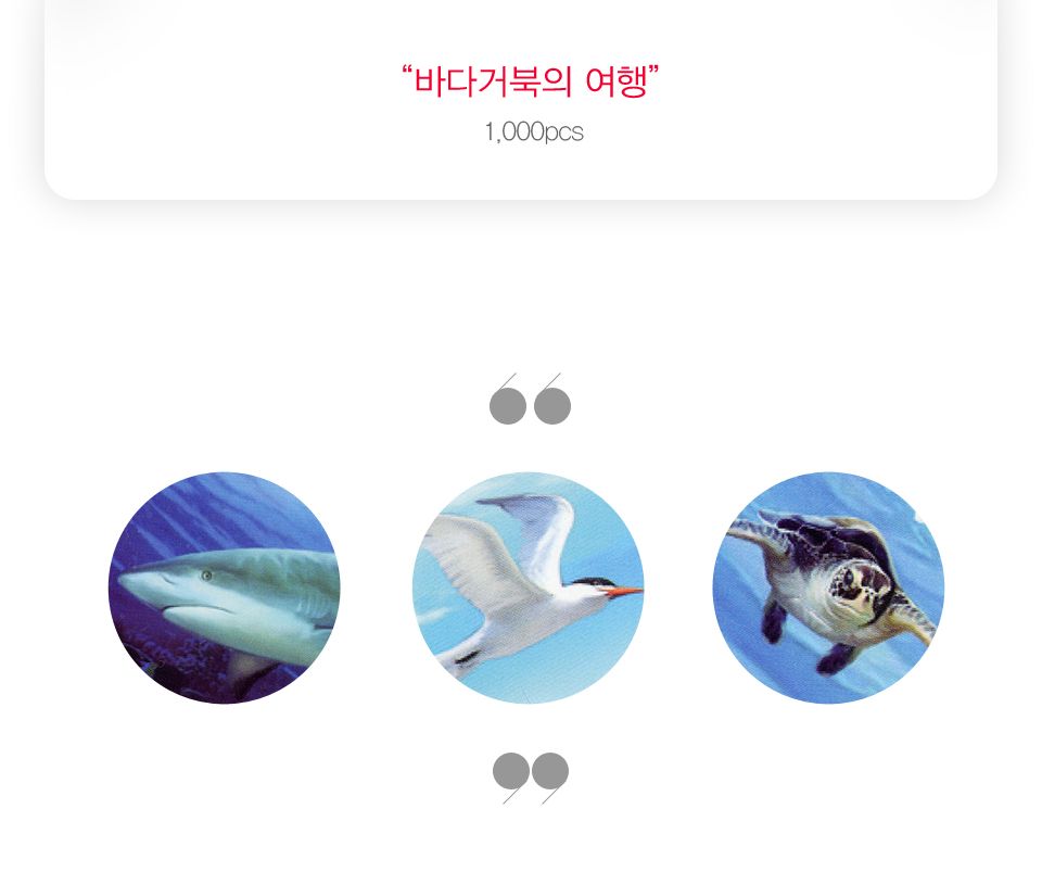 1000피스 바다거북의 여행 직소퍼즐 PL1275/1000피스퍼즐/직소퍼즐/액자퍼즐/1000퍼즐/직소퍼즐액자/1000PC