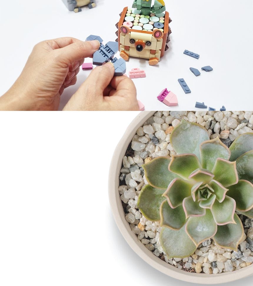 디고 내친구 다육이 꽃 블럭 8종 모아보세요/꽃블럭/꽃선물/시들지않는꽃/블록꽃/블럭꽃/블록/블럭/미니블