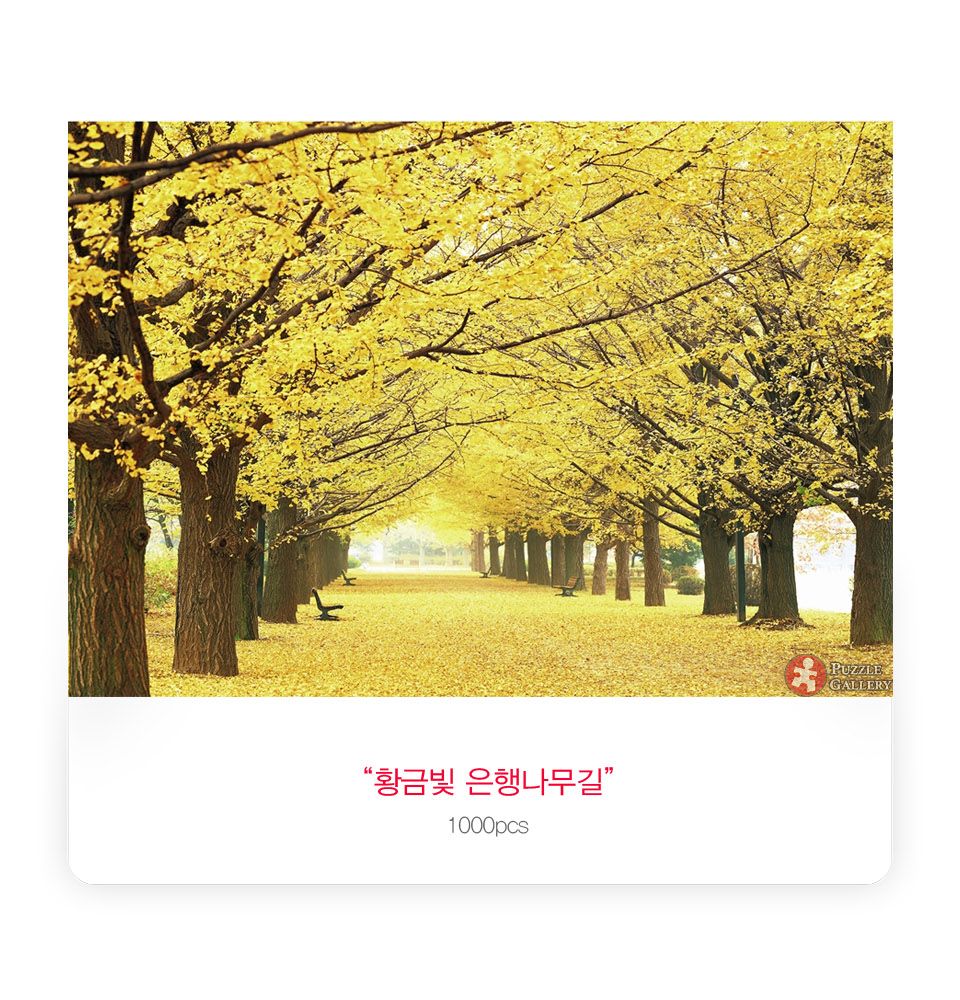 1000피스 황금빛 은행나무길 직소퍼즐 PL1332/1000피스퍼즐/직소퍼즐/액자퍼즐/1000퍼즐/직소퍼즐액자/1000